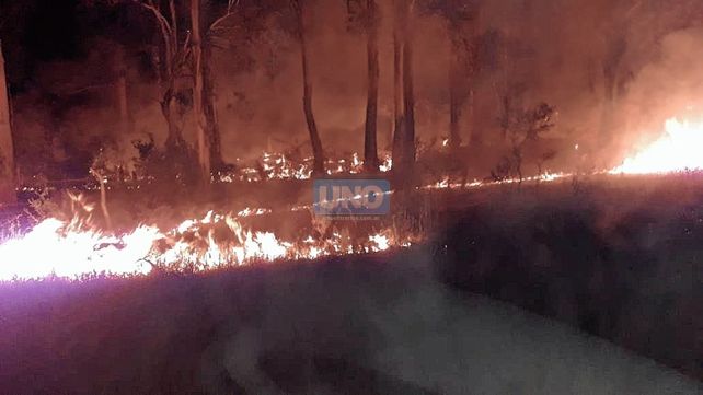 Villa Urquiza: incendio de cañaverales afectó una quinta