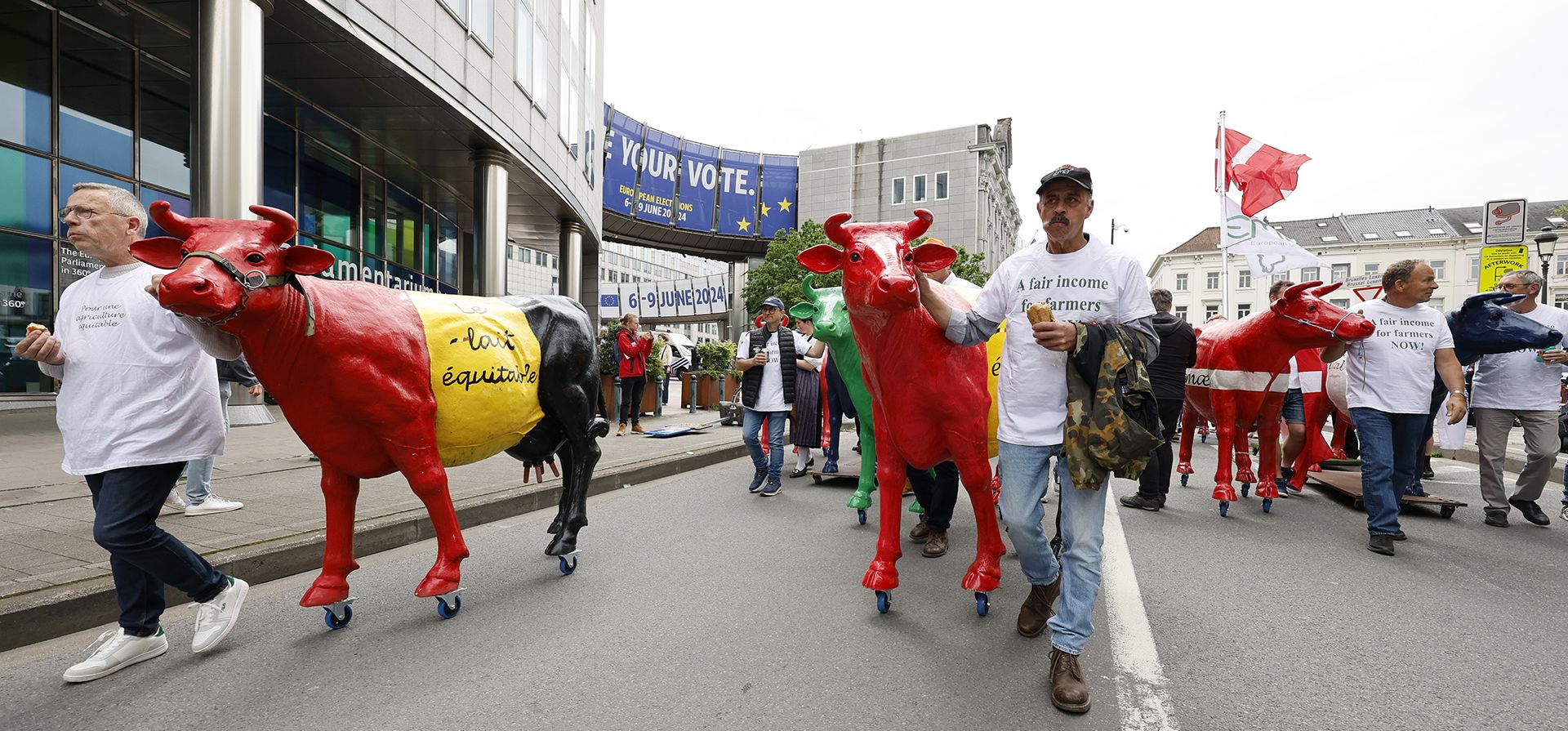Agricultores caminan con vacas de plástico durante una manifestación frente a una reunión de ministros de agricultura de la UE en Bruselas, el lunes 27 de mayo de 2024. (Foto AP/Geert Vanden Wijngaert)