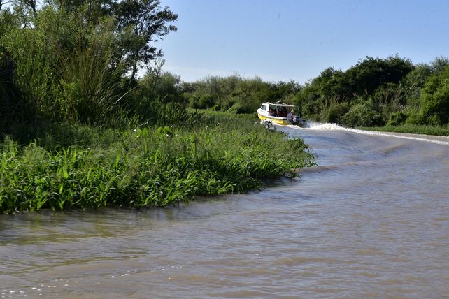 La zona del Charigüé donde Enzo Mariani reclama 800 hectáreas