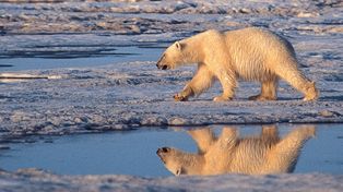 Cambio climático: la suba de la temperatura y del nivel del mar serían inevitables