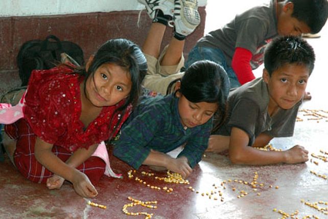 Con el sistema ideado por los mayas se puede enseñar de manera ágil