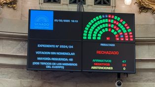 Dos senadores santafesinos votaron a favor y uno en contra. Los radicales, divididos.&nbsp;