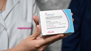 La vacuna que protege contra el dengue puede aplicarse desde los 4 años de edad&nbsp;