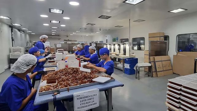 El juez Ernesto Kreplak procesó a 14 acusados
