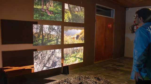 En Chajarí se desarrollaron talleres y actividades especiales que continúan hasta este domingo