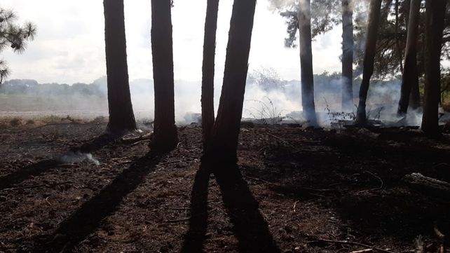 Bomberos Voluntarios de Ceibas acudieron el sábado y el domingo a apagar incendios en la estancia La Pellegrina. El lugar reportó al menos 15 en la temporada&nbsp;