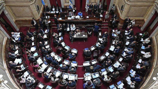 El Senado convirtió en ley la emergencia alimentaria en forma unánime