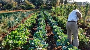 La ciudad de Santa Fe buscará fortalecer la producción en agroecología.&nbsp;