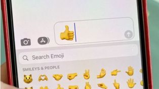 Un agricultor deberá pagar una multa millonaria e insólita por mandar el emoji del pulgar arriba