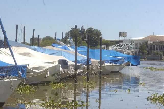 Prórroga para el impuesto a las embarcaciones deportivas o de recreación
