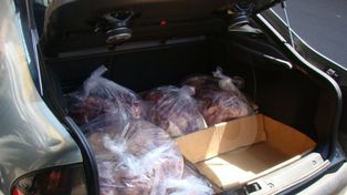 Instan a denunciar irregularidades en el transporte de los alimentos