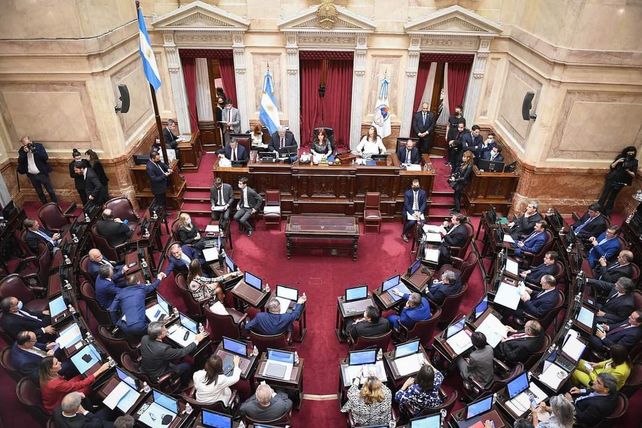 En los comicios de octubre se renovarán 24 de las 74 bancas en el Senado.