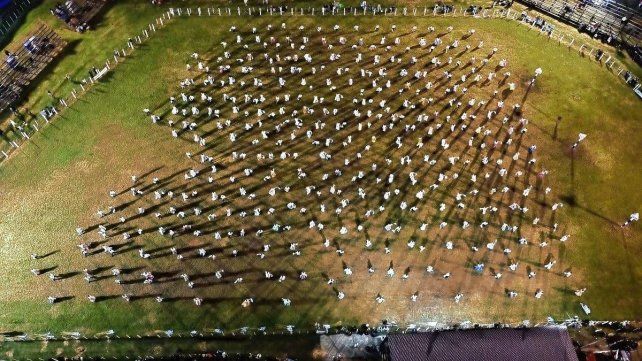El Ballet Diamante Baila volvió a pintar de celeste y blanco el Campo “Lisardo Gieco”