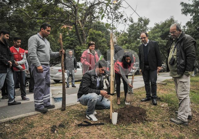Programa de reconstrucción: presentaron el plan de forestación 2016 para la ciudad