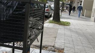 Será obligatoria la colocación progresiva de cestos en altura