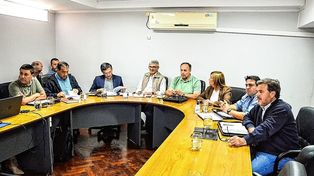 Los senadores ultimaron los detalles del proyecto que crea el Ente Mixto de Turismo, previo a dar dictamen favorable.