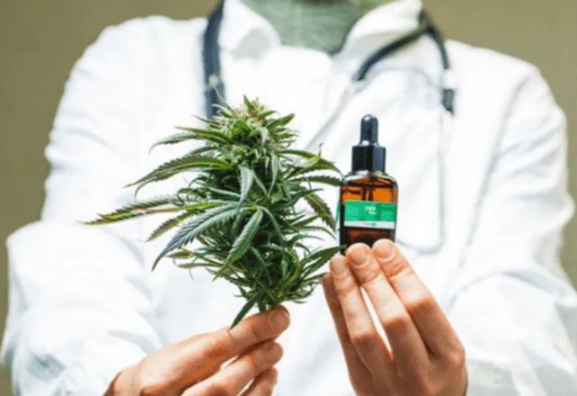 El gobierno permitió la inscripción de semillas de marihuana en el Registro Nacional de Cultivares y/o el Registro Nacional de la Propiedad de Cultivares.&nbsp;