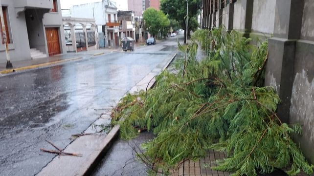 La tormenta se sintió fuerte en la madrugada de este lunes, en Paraná