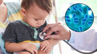 Entre Ríos registró aumento de casos de tos convulsa, coqueluche o tos ferina, con presencia de bacteria variante&nbsp;B.Holmessi. Alarma la disminción de vacunación