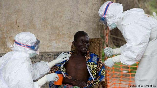 La OMS elevó a 2.400 la cifra de muertos por ébola en África