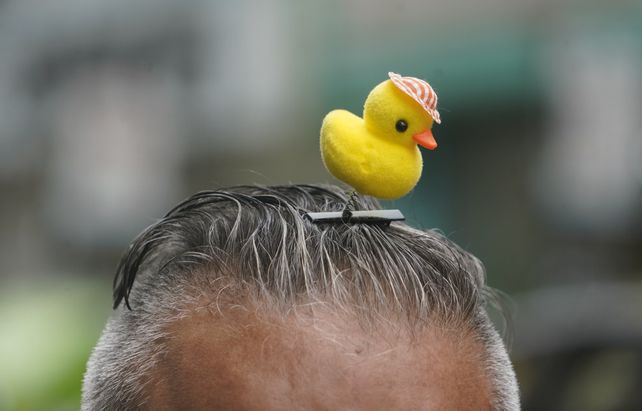 La tendencia viral de usar como vincha estos pequeños animales de plástico se instaló en la ciudad. Se consiguen por $1000 en la peatonal Córdoba.&nbsp;