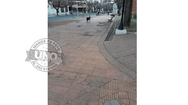 Me da vergüenza vivir en esta ciudad