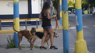 Gran parte de la ciudad está afectada pr el vandalismo.