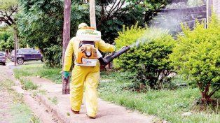 Misiones tuvo 450 casos de dengue en los últimos 30 días