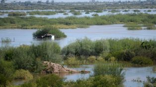 Descartan preocupación por la altura del río Salado