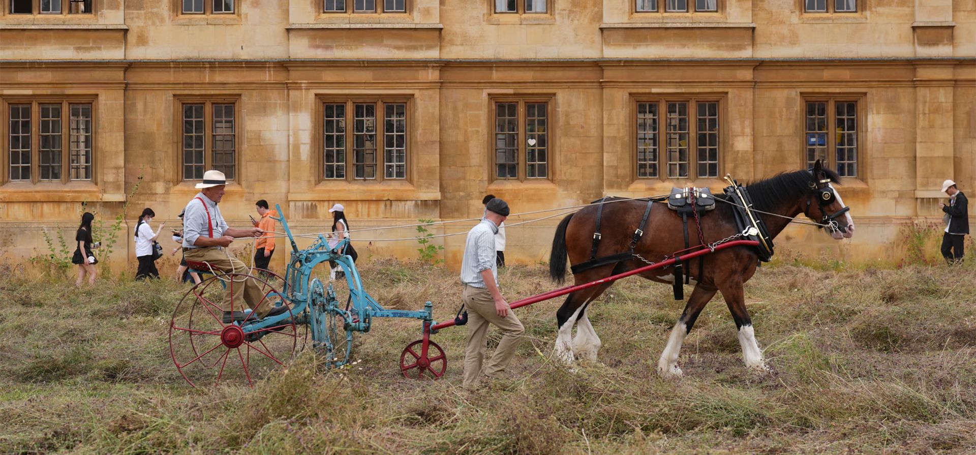 Un caballo de tiro ayuda a cosechar y voltear el heno en el prado de flores silvestres del King's College, Cambridge, Inglaterra. Fotografía: Joe Giddens/PA Un caballo de tiro ayuda a cosechar y voltear el heno en el prado de flores silvestres del King's College, Cambridge, Inglaterra. Fotografía: Joe Giddens/PA