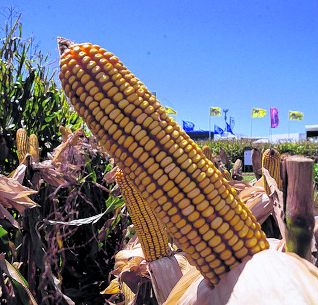 La agtech Sima cuenta con herramientas para medir rindes.