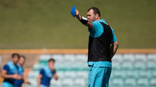 El australiano Michael Cheika sería el nuevo head coach del seleccionado argentino de rugby Los Pumas en reemplazo de Mario Ledesma.