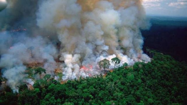 La Nasa difunde impactantes imágenes de incendios en el Amazonas