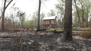 El delta arde: estiman que hay unas 200 mil hectáreas bajo cenizas