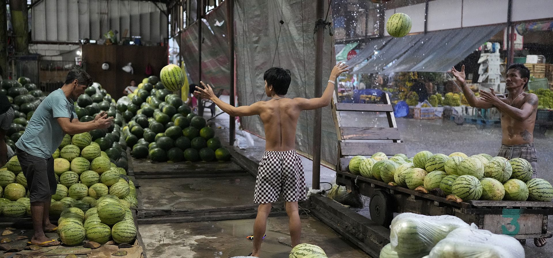 Trabajadores acomodan sandías durante un aguacero en un mercado de frutas en Ciudad Quezón, Filipinas, el jueves 13 de julio de 2023. (Foto AP/Aaron Favila) Trabajadores acomodan sandías durante un aguacero en un mercado de frutas en Ciudad Quezón, Filipinas, el jueves 13 de julio de 2023. (Foto AP/Aaron Favila)
