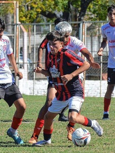 Patronato pasó la motosierra por las inferiores