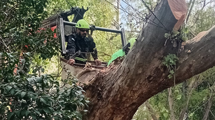 Consecuencias del temporal en Rosario&nbsp;