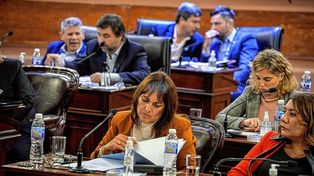 Se reanuda la actividad en la Cámara de Diputados de Entre Ríos.