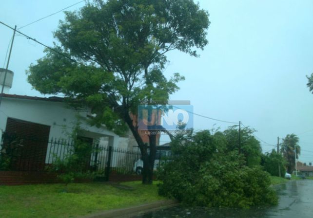 Terrible temporal de lluvia y viento generó graves destrozos en Paraná