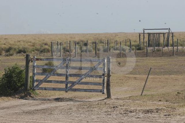 Las altas temperaturas afectan a la actividad agropecuaria y quedan pocas reservas hídricas