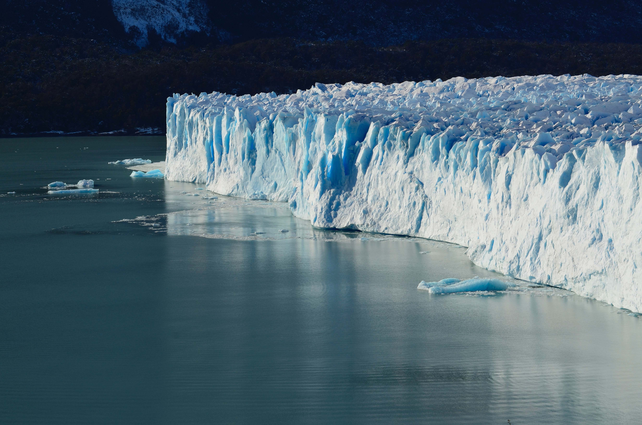 El Foro Económico Mundial publicó su Informe sobre Riesgos Globales 2024