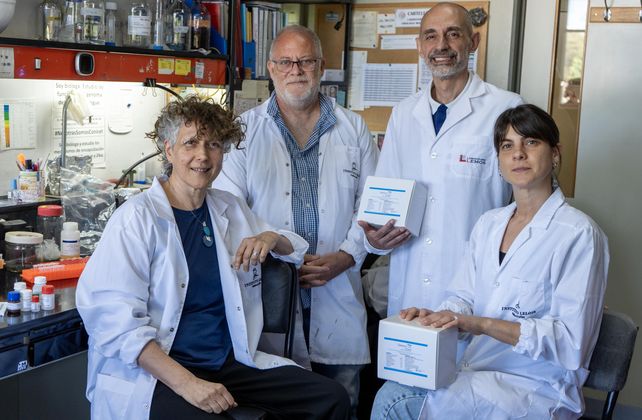 Los investigadores argentinos de Conicet que desarrollaron el kit para detectar dengue