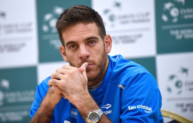 Juan Martín del Potro felicitó al equipo de la Davis por la entereza ante la derrota con Italia.&nbsp;