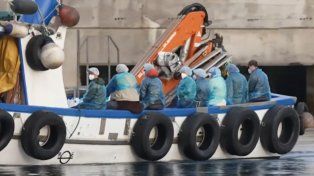 Es un viaje inolvidable, ironizó el argentino del crucero del hantavirus