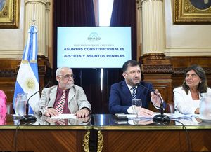 Ley Bases: cómo sigue el debate en el Senado