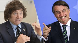 Javier Milei y el ex presidente de Brasil, Jair Bolsonaro mantuvieron un encuentro virtual.&nbsp;