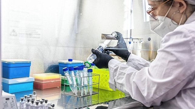 Tras los dichos de Milei, Conicet Santa Fe remarcó que su propuesta es atrasar muchos años a la Argentina