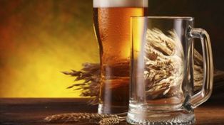 El consumo de cerveza contribuye a aumentar la siembra de cebada en Santa Fe