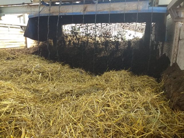 Orgullo santafesino: transforman efluentes de cerdo en compost y ganaron un premio internacional