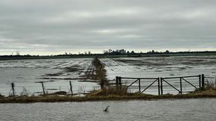 En las zonas rurales es muchísimo el daño en una época donde no es normal que haya inundaciones